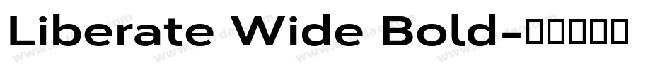 Liberate Wide Bold字体转换